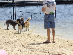 Dog Park 009