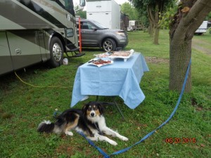 DSC00586