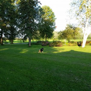 20150904_074501