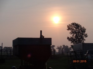 DSC00791