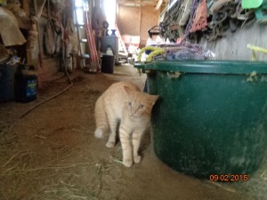 DSC00805