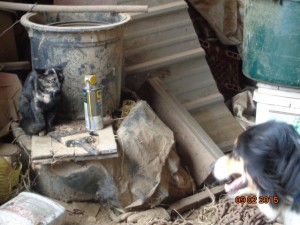 DSC00808