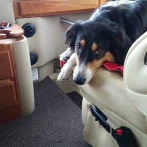 sad look leaving WI 1