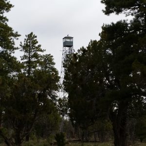 20160427_085909