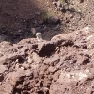 20161007_125727