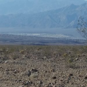 20161010_092951