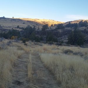 20161026_080153